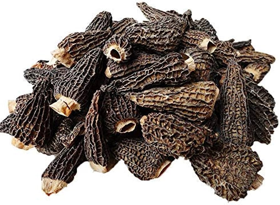 Giant Morel Mushrooms, Dried, Extra Grade (6-8cm)