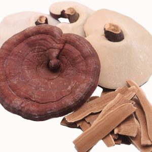 Red Reishi Mushooms, Dried
