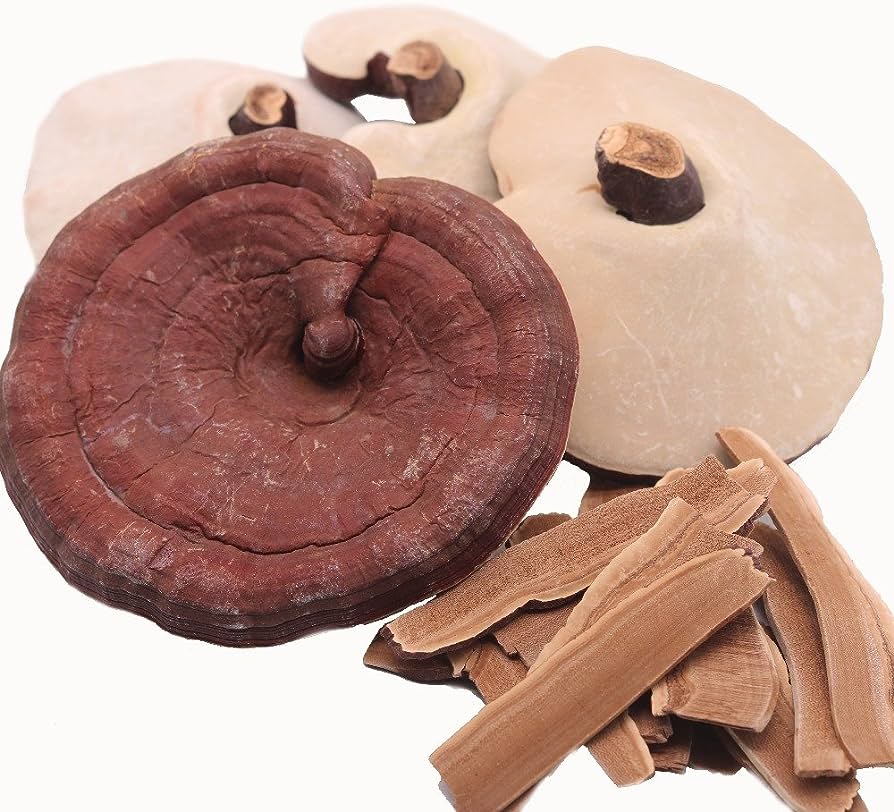 Red Reishi Mushooms, Dried