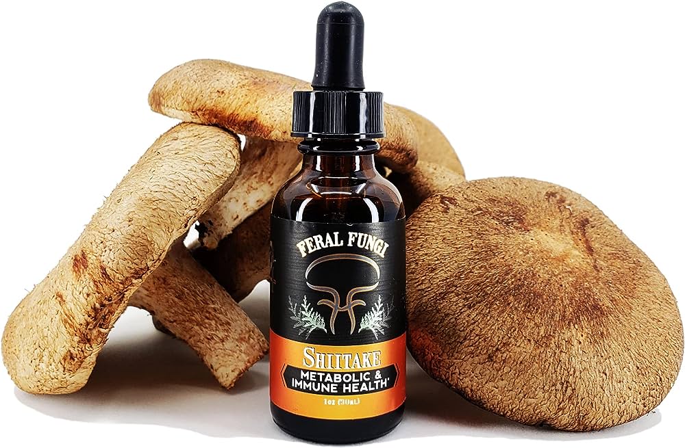 Lion’s Mane Spagyric Tincture