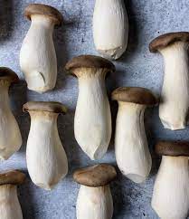 King Trumpet Mushrooms