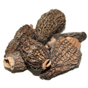 Morel Mushrooms, Frozen Morel Mushrooms, Frozen
