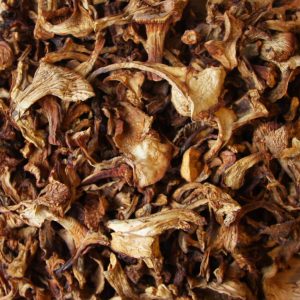 Girolle Mushrooms, Dried Girolle Mushrooms, Dried