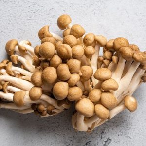 Hon Shimeji Mushrooms Hon Shimeji Mushrooms