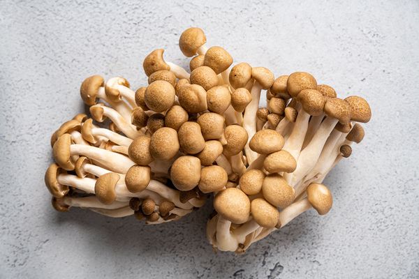 Hon Shimeji Mushrooms