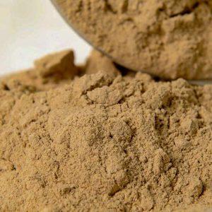 Matsutake Powder Matsutake Powder