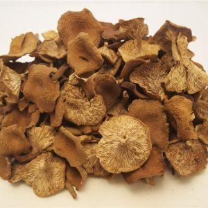 Dried Candy Cap Dried Candy Cap
