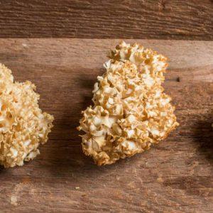 Dried Cauliflower Mushroom