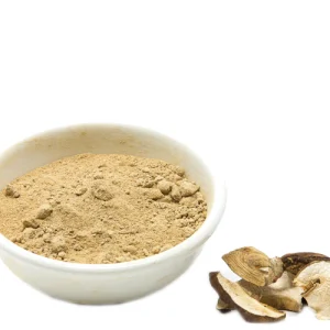 Domestic Porcini Powder