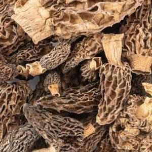 Dried Morel