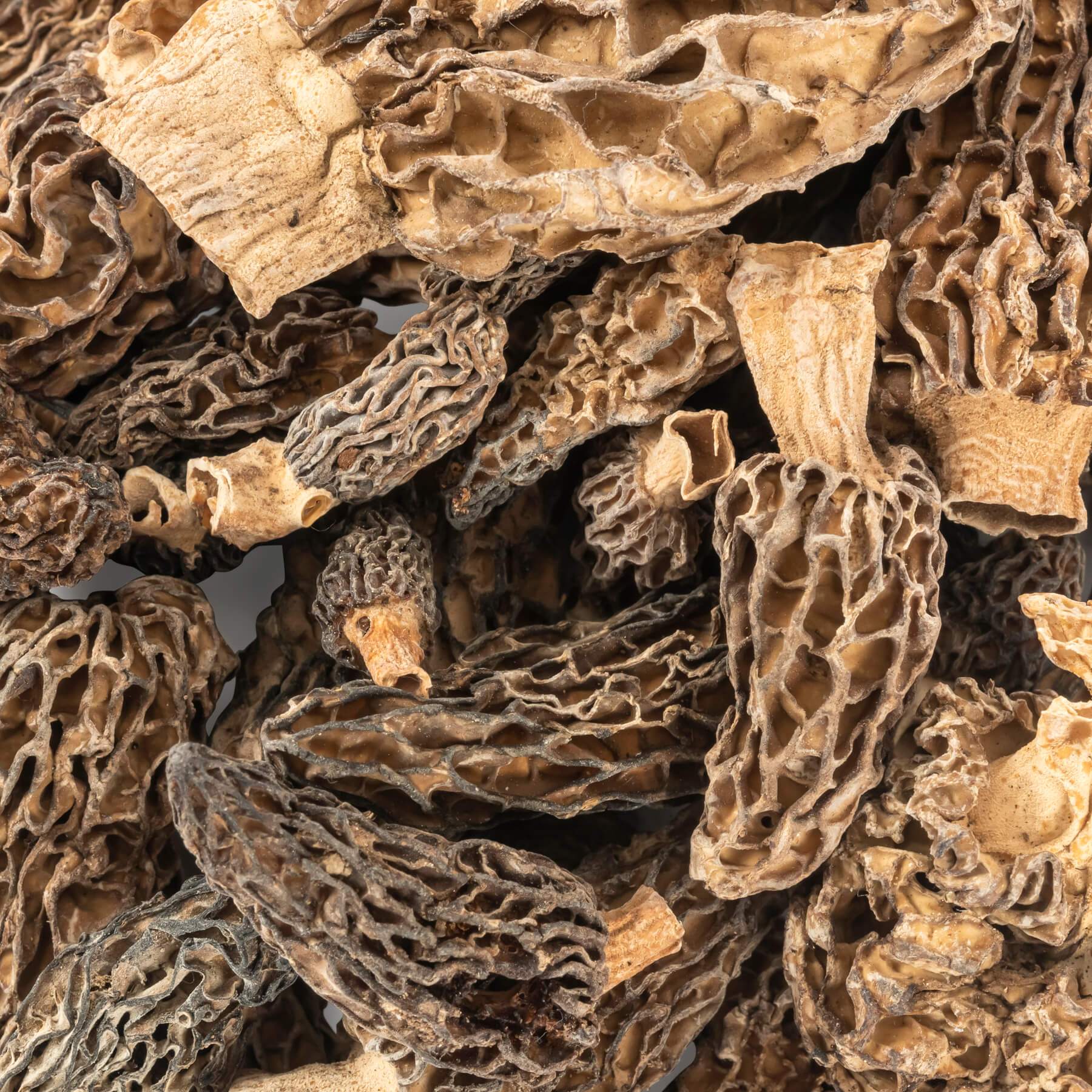 Dried Morel