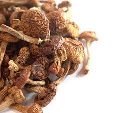 Nameko Mushrooms