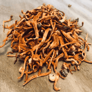 Dried Cordyceps