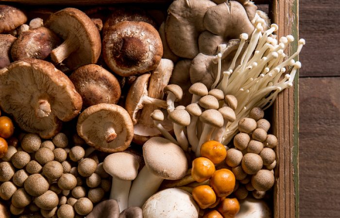 Read more about the article Do mushrooms have protein?
