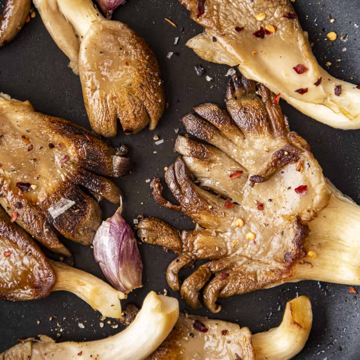 Read more about the article How to cook mushrooms
