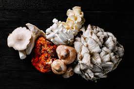 Read more about the article 15 Types of Mushrooms and How to Cook With Them