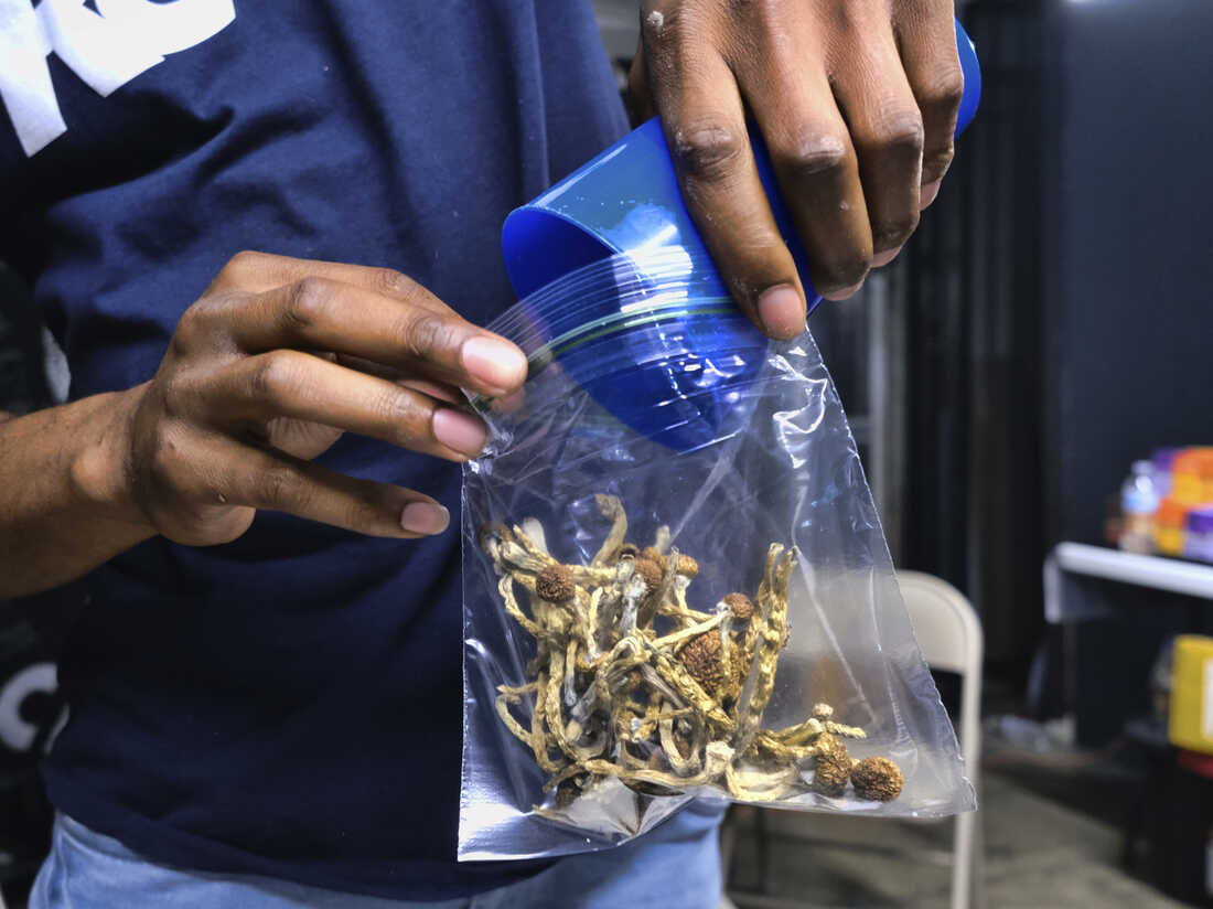 Read more about the article How long does a mushroom trip last