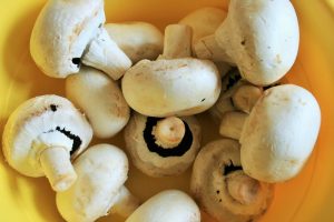 Read more about the article Can you eat mushrooms after 7 days?