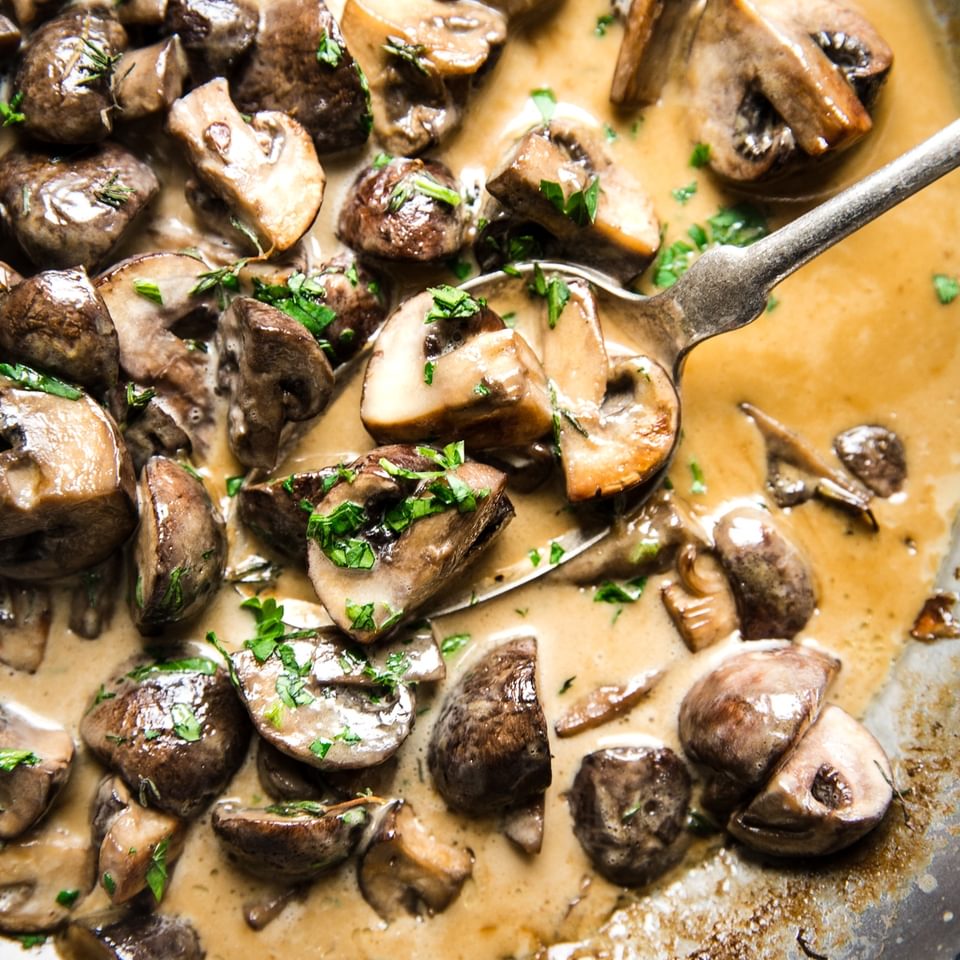 mushrooms recipes