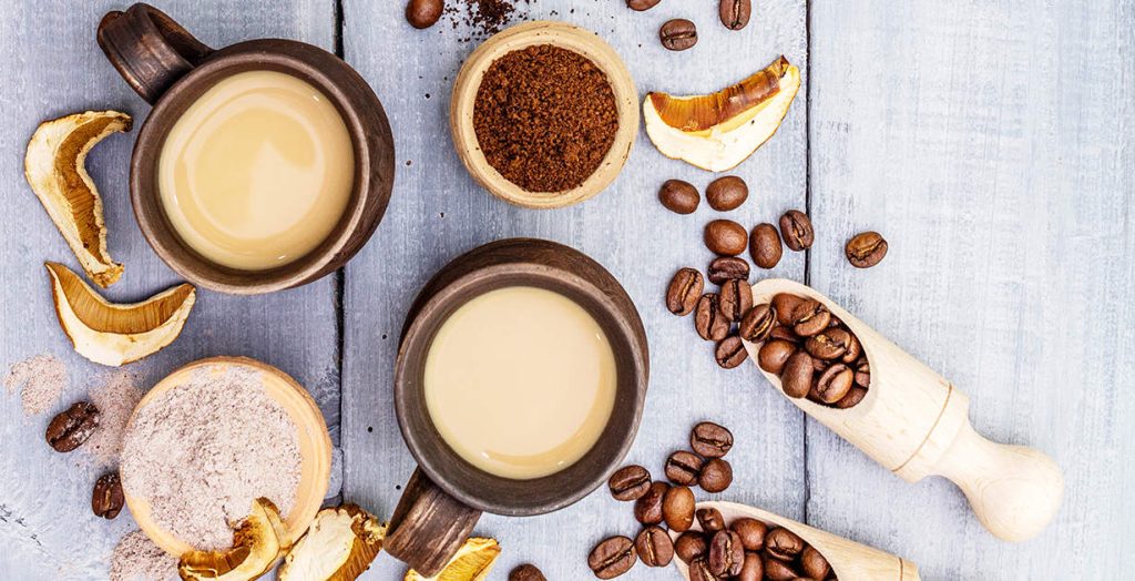 mushroom coffee weight loss