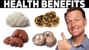 Read more about the article Which mushroom has the best health benefits?