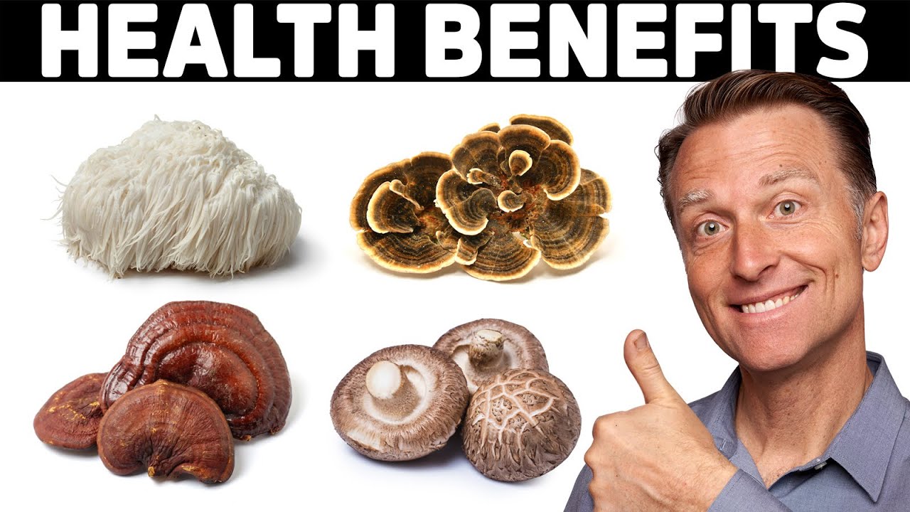 Read more about the article Which mushroom has the best health benefits?