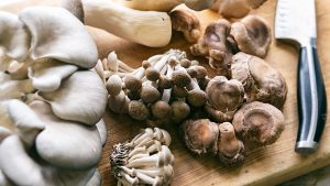 Read more about the article What does mushroom powder do for your body?