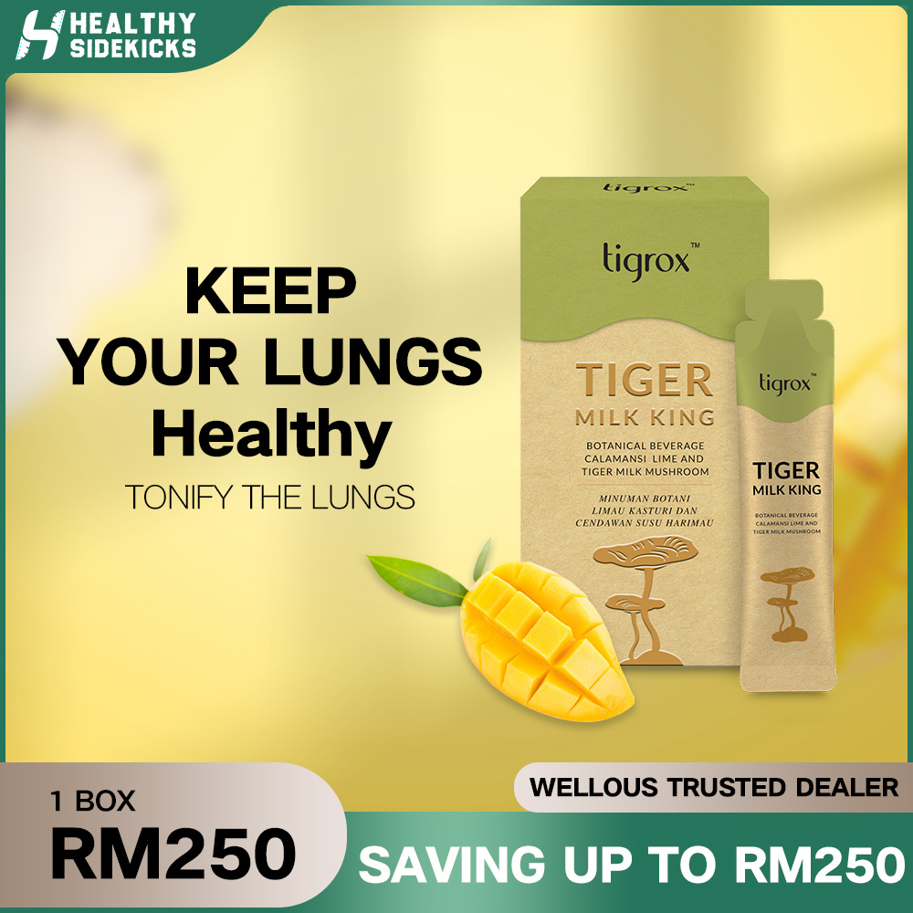 Read more about the article Is tiger milk mushroom good for lungs