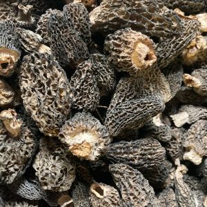 Dried Wild Greys-Green Morel Mushrooms from the USA, Wild Crafted