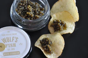Read more about the article Is white sturgeon real caviar?