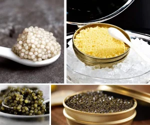 Read more about the article Why is golden Osetra caviar so expensive?