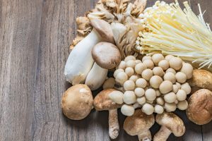 Read more about the article Which type of mushroom is best?