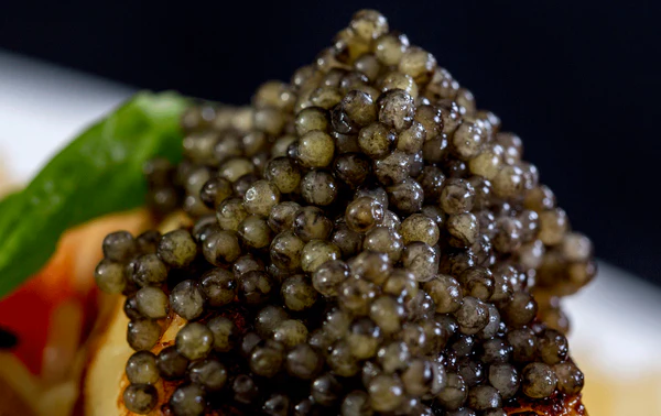 Ossetra Caviar