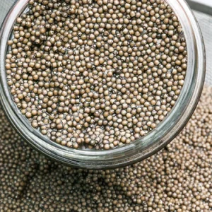Sevruga Caviar