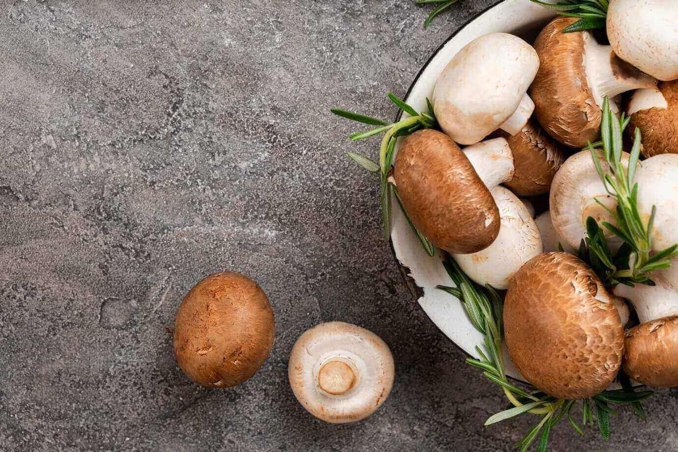 Read more about the article negative effects of portobello mushrooms